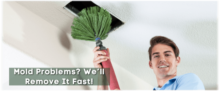 Air Duct Mold Removal in The Woodlands