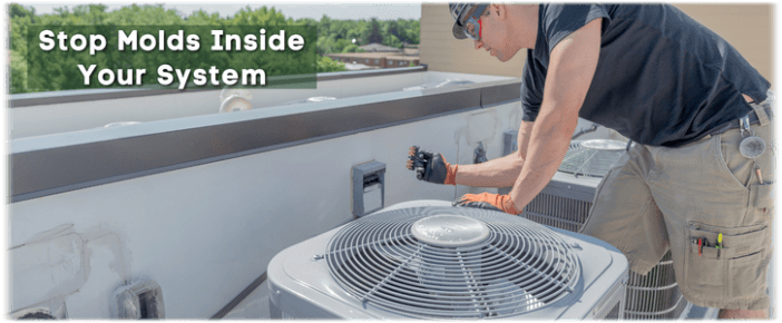 HVAC Mold Removal The Woodlands
